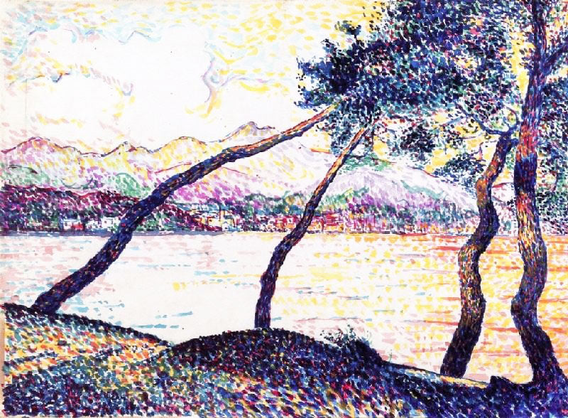 UMBRELLA PINES, SAINTE-MAXIME