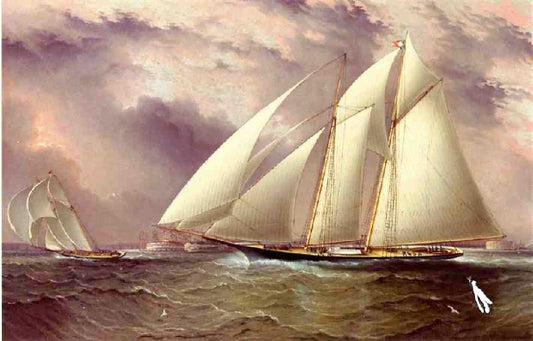 Schooner Racing Off New York Harbor by James E. Buttersworth