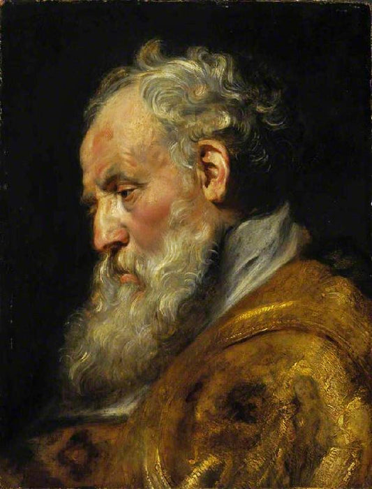 A Study Of A Head (Saint Ambrose) by Peter Paul Rubens
