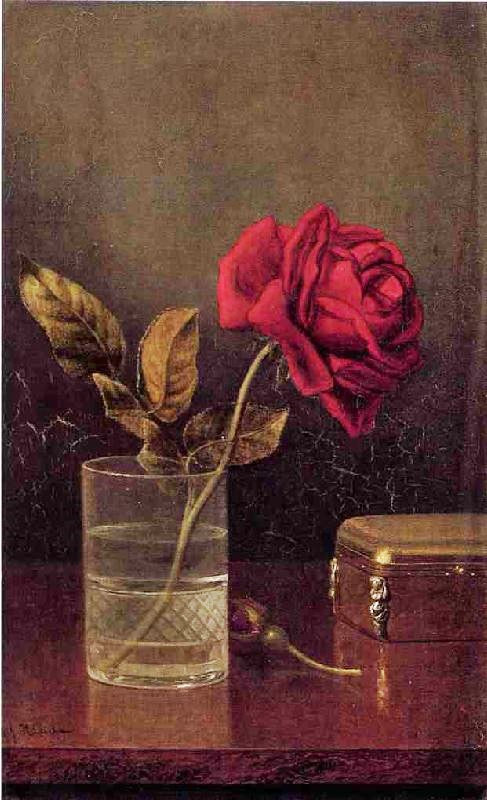 The Queen Of Roses by Martin Johnson Heade