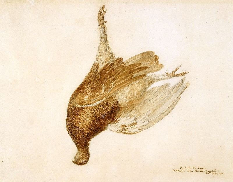 Dead Grouse by Joseph Turner