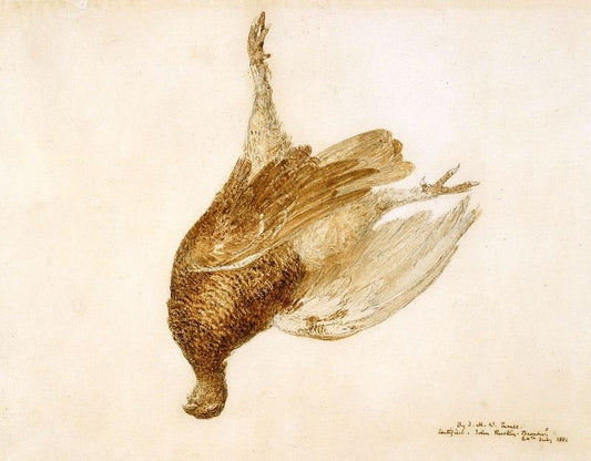 Dead Grouse by Joseph Turner
