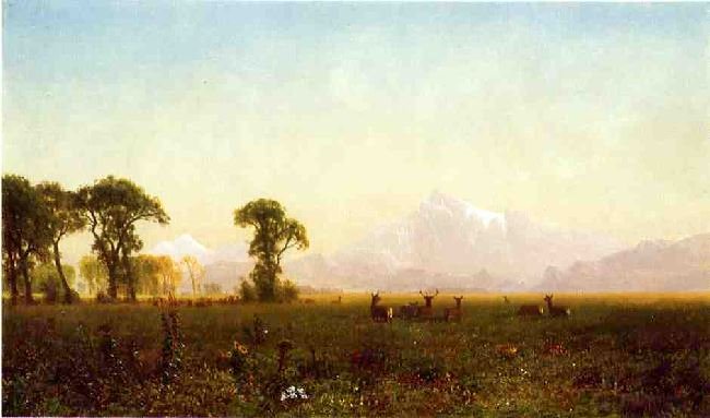 Deer Grazing, Grand Tetons, Wyoming by Albert Bierstadt