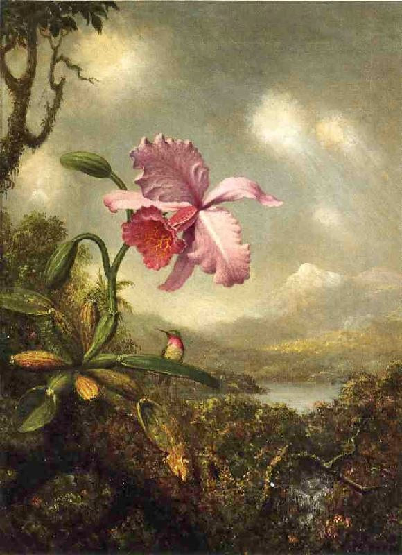 Hummingbird And Orchid: Sun Breaking Through The Clouds by Martin Johnson Heade