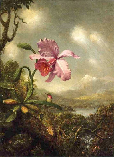 Hummingbird And Orchid: Sun Breaking Through The Clouds by Martin Johnson Heade