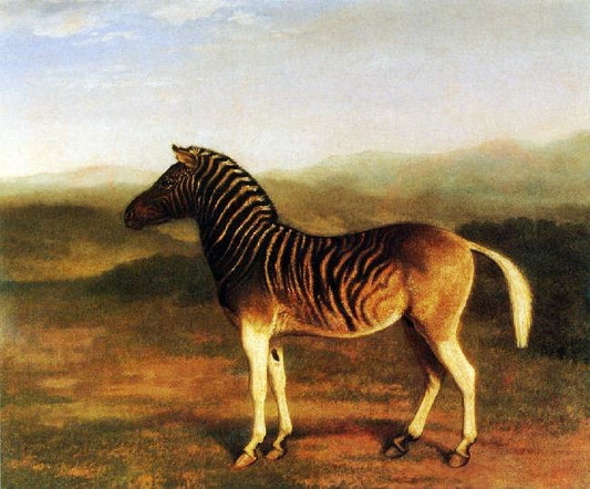 A Male Quagga From Africa by Jacques-Laurent Agasse