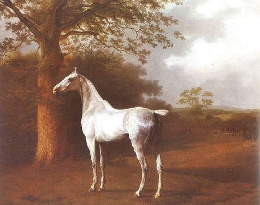 White Horse In Pasture by Jacques-Laurent Agasse