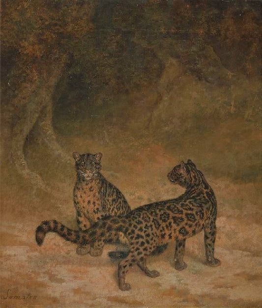Clouded Leopards by Jacques-Laurent Agasse