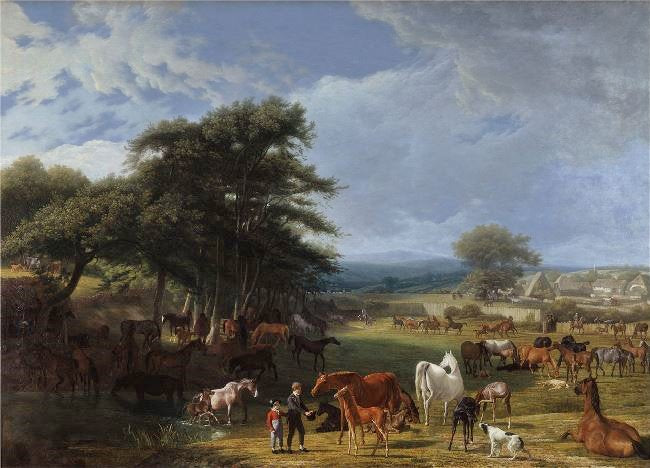 LORD RIVERS STUD FARM, STRATFIELD SAYE