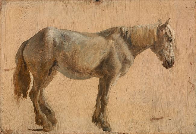 Study Of A Grey Horse by Jacques-Laurent Agasse