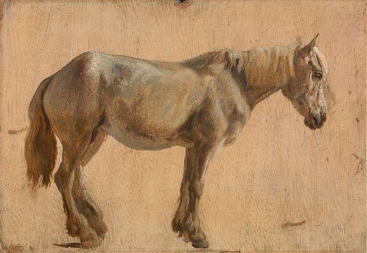 Study Of A Grey Horse by Jacques-Laurent Agasse
