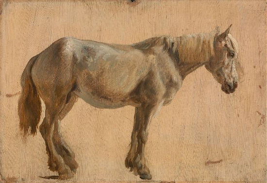 Study Of A Grey Horse by Jacques-Laurent Agasse