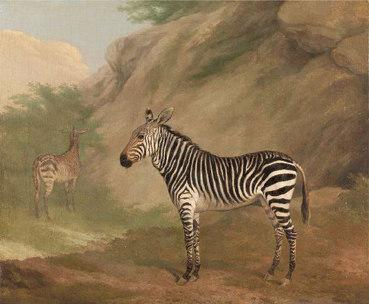 Zebra by Jacques-Laurent Agasse