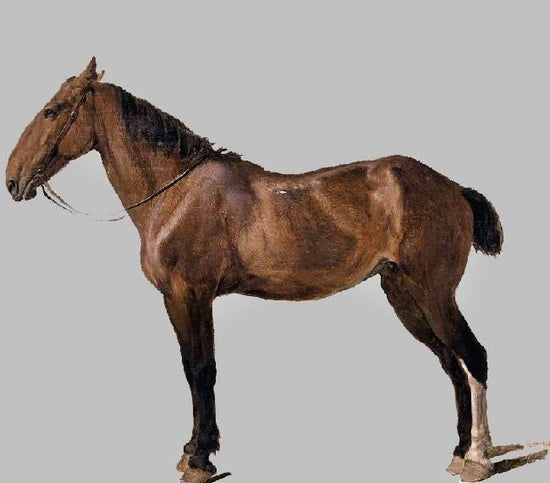 Horse by Jacques-Laurent Agasse
