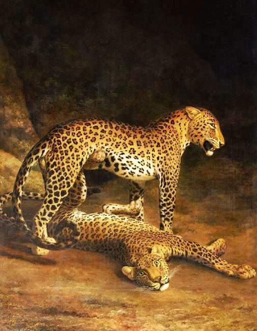 Two Leopards Lying In The Exeter by Jacques-Laurent Agasse