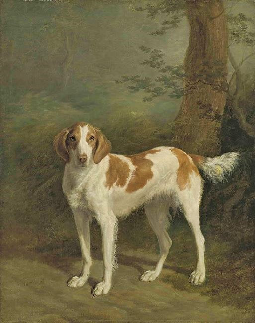 Dash, A Setter In A Wooded Landscape by Jacques-Laurent Agasse