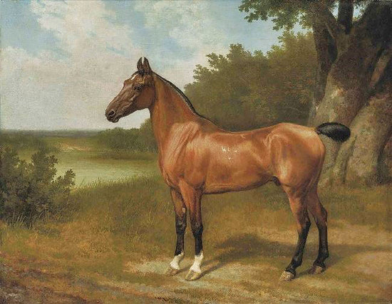 Hunter Of Lord Bingley In A Wooded River Landscape by Jacques-Laurent Agasse