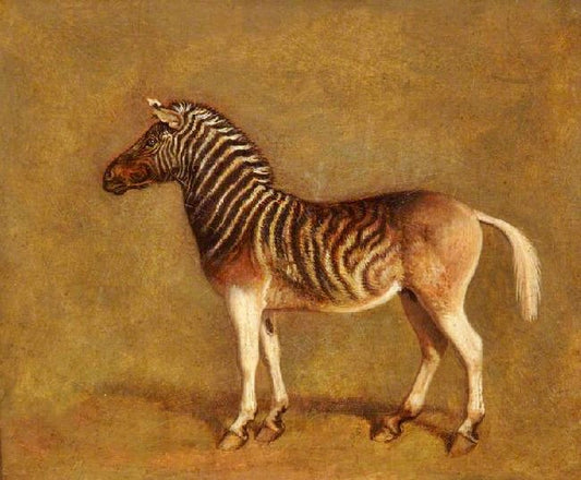 Quagga by Jacques-Laurent Agasse