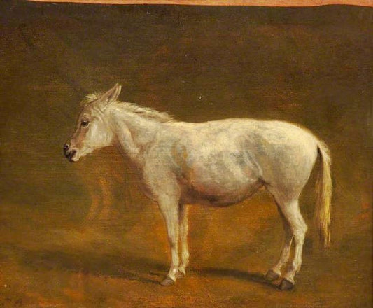 White Mule by Jacques-Laurent Agasse