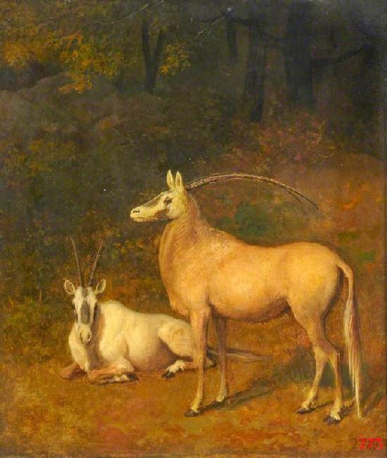 Two White Antelopes by Jacques-Laurent Agasse