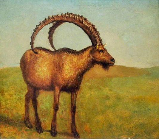 Ibex by Jacques-Laurent Agasse
