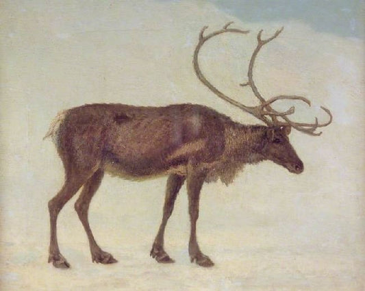 Rein Deer by Jacques-Laurent Agasse