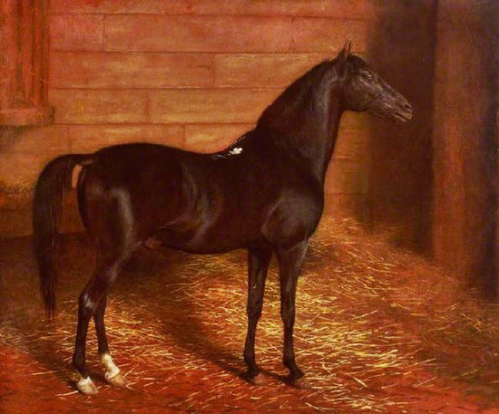 Arab Horse, The Second Sire by Jacques-Laurent Agasse