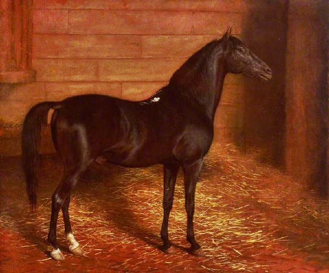 Arab Horse, The Second Sire by Jacques-Laurent Agasse