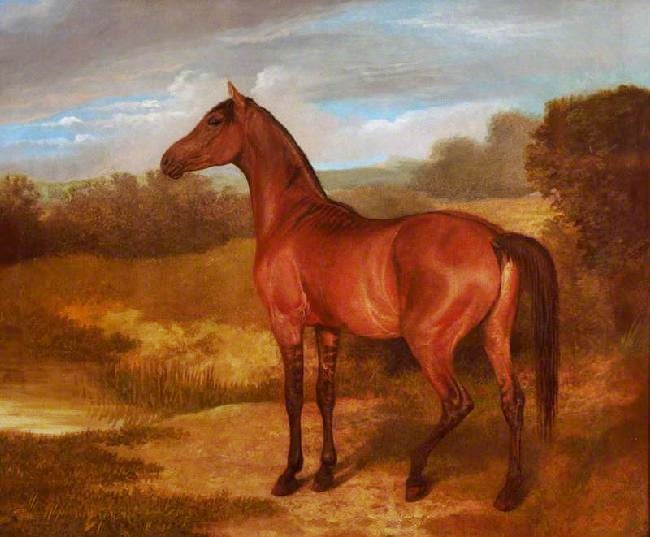 Colt Of Mare And Arab Horse by Jacques-Laurent Agasse