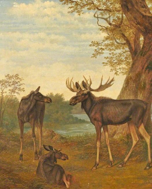 Moose by Jacques-Laurent Agasse