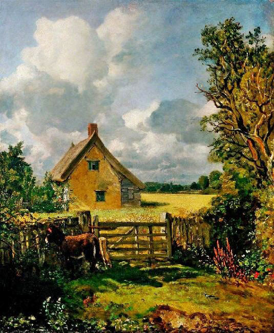 THE CORNFIELD
