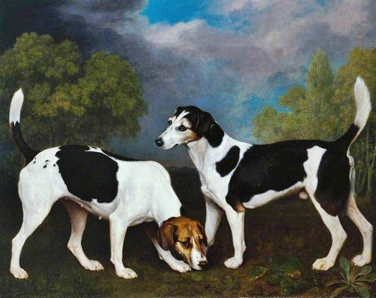 A Couple Of Foxhounds by George Stubbs