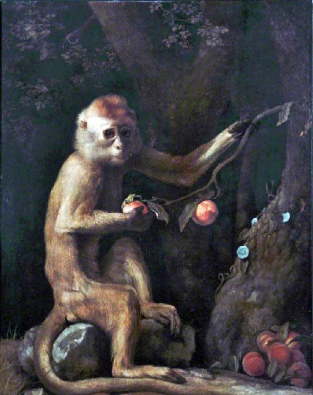 A Monkey by George Stubbs