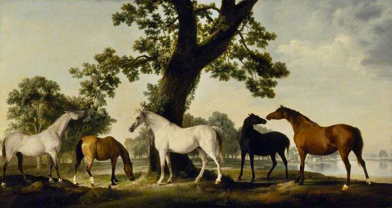 FIVE BROOD MARES AT THE DUKE OF CUMBERLAND’S STUD FARM IN WINDSOR GREAT PARK