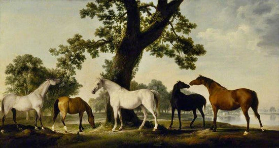 Five Brood Mares At The Duke Of Cumberland’S Stud Farm In Windsor Great Park by George Stubbs
