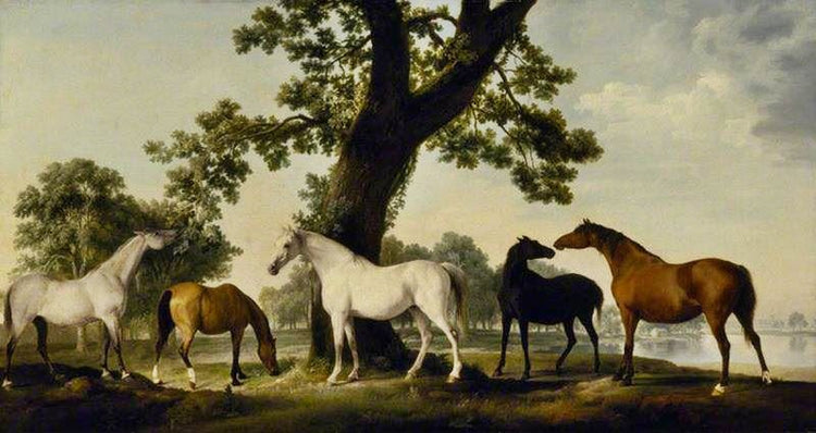 Five Brood Mares At The Duke Of Cumberland’S Stud Farm In Windsor Great Park by George Stubbs