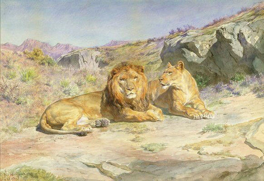 Royalty At Home by Rosa Bonheur