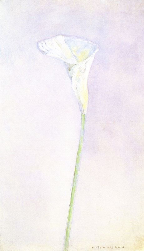 Arum Lily by Piet Mondrian