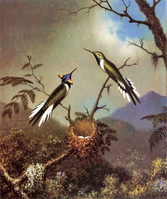 Hummingbirds At Their Nest, Sun Gems by Martin Johnson Heade