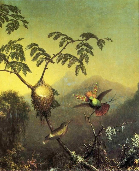 Two Hummingbirds: Tufted Coquettes by Martin Johnson Heade