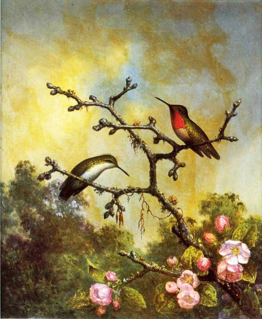 Ruby-Throated Hummingbirds With Apple Blossoms by Martin Johnson Heade