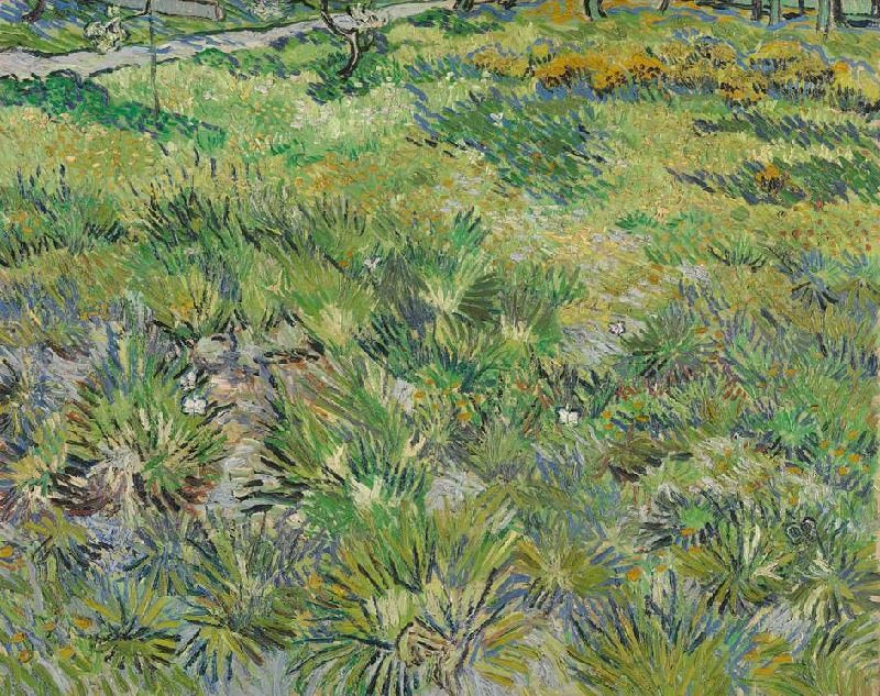 LONG GRASS WITH BUTTERFLIES