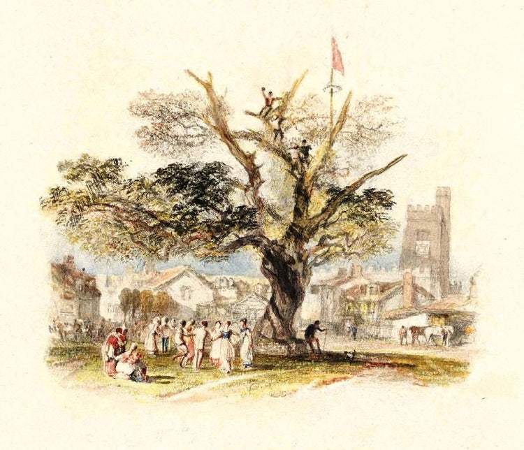 Rogers’S ’Poems’ - An Old Oak by Joseph Turner