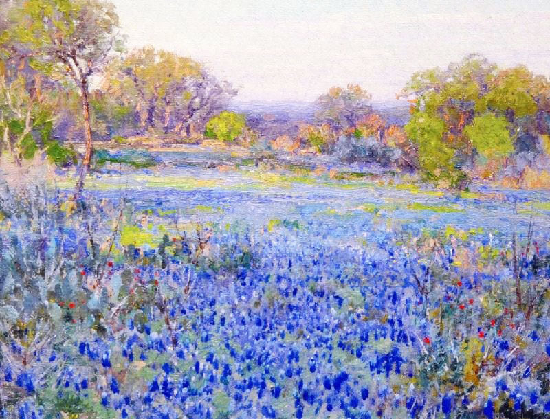 A FIELD OF BLUE BONNETS, LATE AFTERNOON SUNLIGHT