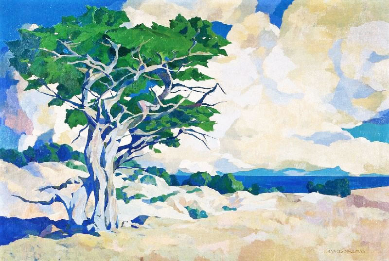 Monterey Cypress by Francis John McComas