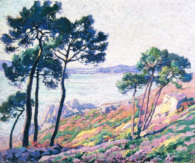 PINS AU BORD DE LA MER