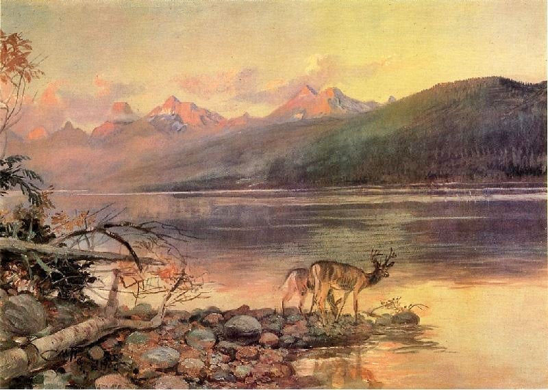 DEER AT LAKE MCDONALD