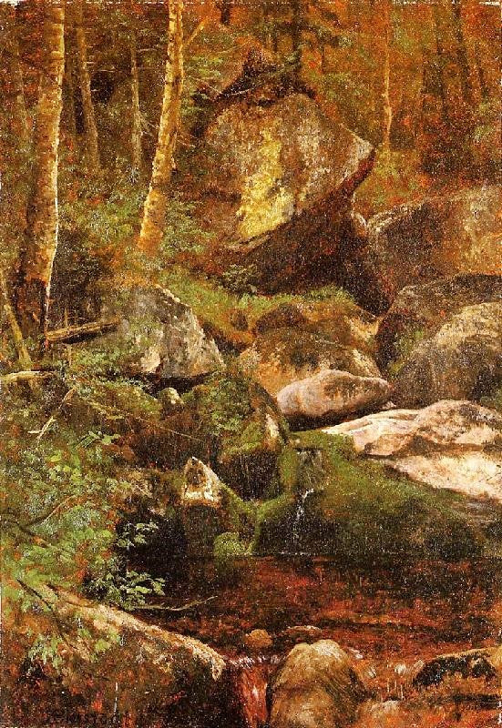 Forest Stream by Albert Bierstadt