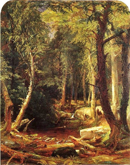 Pool In The Woods by Jasper Francis Cropse