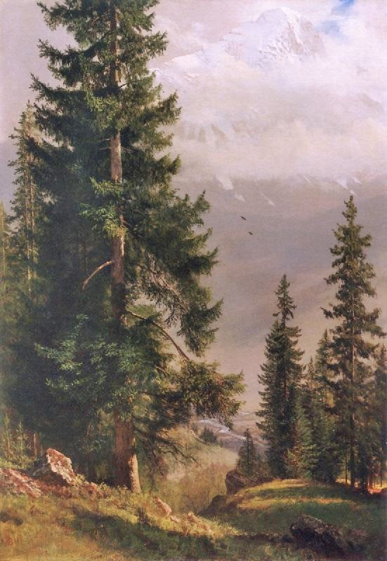 Grindelwald Valley by Albert Bierstadt